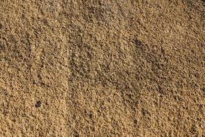 The texture of the stone on the shores of the Mediterranean Sea as a background. photo