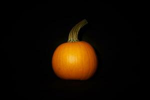 Pumpkin in darkness. Halloween mood. photo