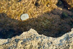 White stone in water as a natural background. photo