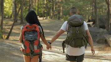 couple de randonneurs continue le en marchant à le forêt video