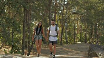 Pareja de caminantes sostiene cada otros mano video