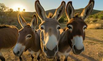 Friendly donkey photobombs a group selfie with a big grin. Creating using generative AI tools photo