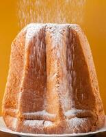Pandoro with dusting of icing sugar photo