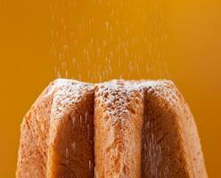 Pandoro with dusting of icing sugar photo