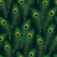 Seamless pattern with peacock feathers on a dark background vector