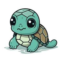 Cute baby turtle. Vector illustration of a cute baby turtle.