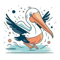 Pelican vector illustration. Isolated on a white background.