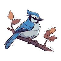 Blue jay bird sitting on branch with leaves. Vector illustration.