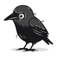 Black crow isolated on white background. Vector illustration in cartoon style.