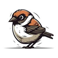 Sparrow vector illustration isolated on white background. Hand drawn sparrow.