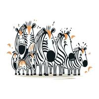 Zebra family. Vector illustration of a group of zebras.