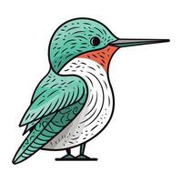 Red throated kingfisher. Vector illustration on white background.