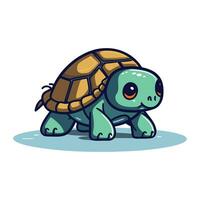 linda dibujos animados tortuga. vector ilustración aislado en un blanco antecedentes.