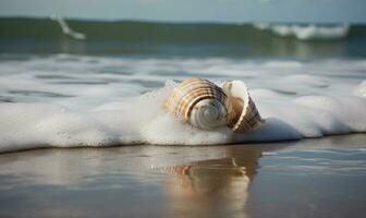 A magnificent seashell adorns the sandy beach, caressed by rolling waves. Creating using generative AI tools photo