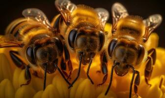 A mesmerizing macrophotography selfie showcases the intricate beauty of bees. Creating using generative AI tools photo