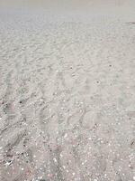Beach sand in the spring photo