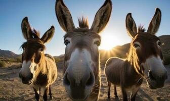 Smiling donkey strikes a pose for a hilarious selfie. Creating using generative AI tools photo