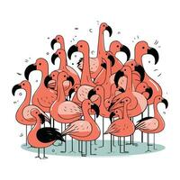 Flamingo. Vector illustration of a group of flamingos.