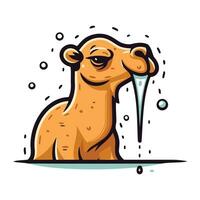 Camel in the rain. Vector illustration of a camel in the rain.