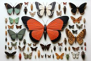 assortment various insects flat lay AI Generated photo