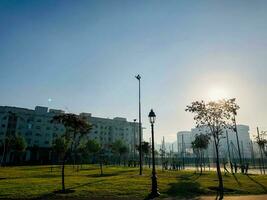 a park with a grassy area and a few trees photo