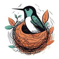 Vector illustration of a bird in a nest with leaves. Hand drawn style.