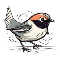 Hand drawn vector illustration of a bullfinch. Isolated on white background.