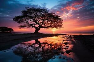 silhouettes of trees under a cloudy sky during sunset professional advertising photography AI Generative photo