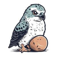 Peregrine falcon with egg. Vector illustration in vintage style.