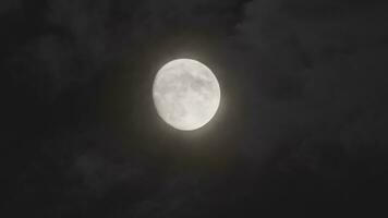 lleno Luna lleno Luna y oscuro nubes en el noche video