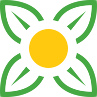 vacker blommig prydnad png