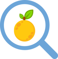 Obst Illustration Konzept png