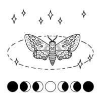 Monochrome Hawk moth acherontia atropos butterfly moon phases pattern. Perfect design for magic craft. vector