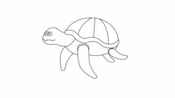 Animé esquisser de une tortue icône video