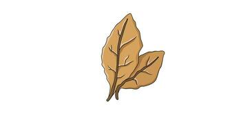 animated video of the tobacco leaf icon