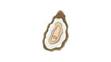 animatie vormen een oester icoon video