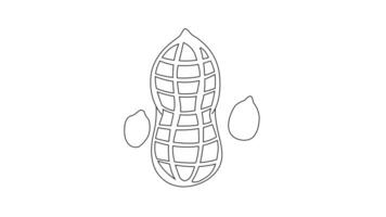 animated video of a peanut icon sketch