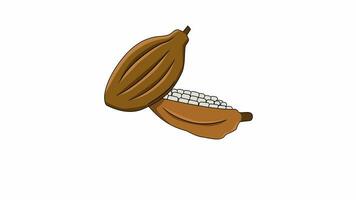 animated video of the cocoa fruit icon