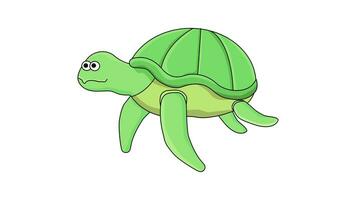 The animation forms an icon of a turtle video