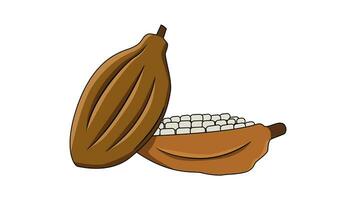 animación formas un cacao Fruta icono video