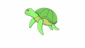 animado vídeo do uma tartaruga ícone video