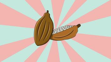 Animated cocoa fruit icon with a rotating background video