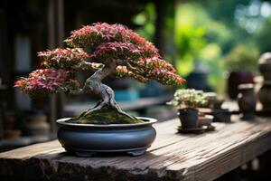 Traditional Japanese bonsai plant art AI Generated photo