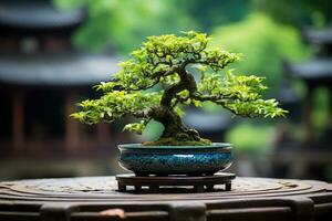 Traditional Japanese bonsai plant art AI Generated photo