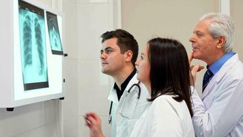 médico equipo analiza radiografía en radiografía ver caja video