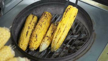 Grilled Corn for sale in a market stall in istanbul video