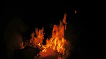 Flames burning garbage at night video