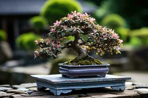 tradicional japonés bonsai planta Arte ai generado foto