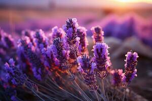 lavanda en el naturaleza paisaje ai generado foto