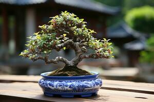 Traditional Japanese bonsai plant art AI Generated photo